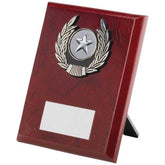 ROSEWOOD PLAQUE AND SILVER TRIM ASSEMBLED TROPHY (1in CENTRE) - 5in